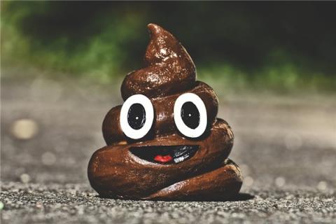 梦到屎拉裤子了什么预兆