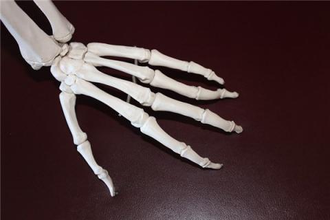 梦到死人骨预示着什么