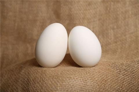 梦到了坏鸭蛋是什么兆头