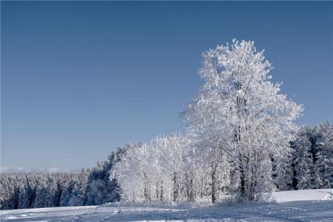 梦到拍雪景预示着什么