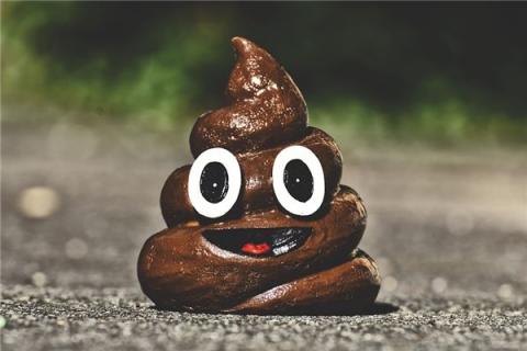 梦到了脚踩到大便是啥意思
