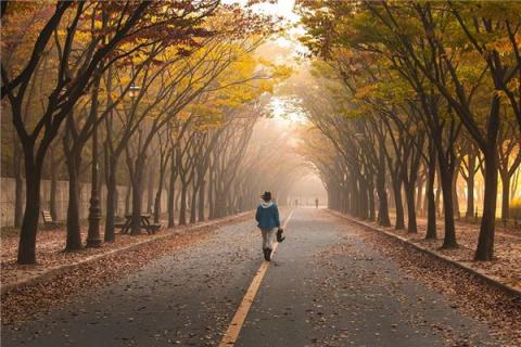 梦到了送路预示什么