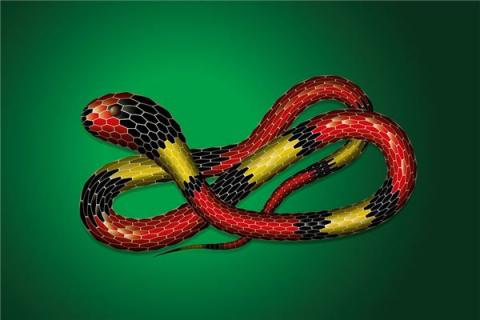 梦见一团蛇是凶兆还是吉兆