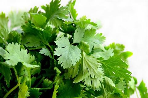 梦见洗香菜代表着什么？