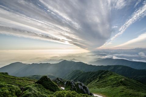 梦见后山有什么说法