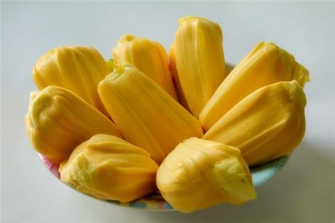 梦到了波萝蜜会有什么预兆