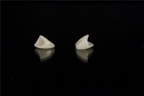梦到了掉了两个牙齿是什么征兆