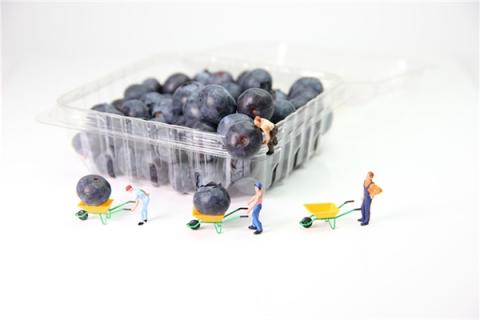 梦到货被贼偷怎么样