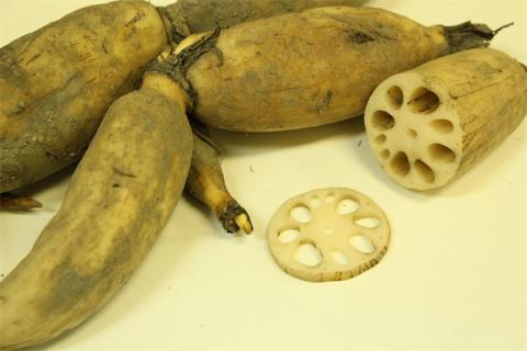 梦到卖莲藕怎么样