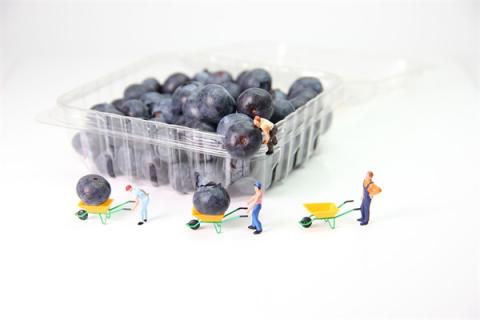 梦到偷我东西怎么说