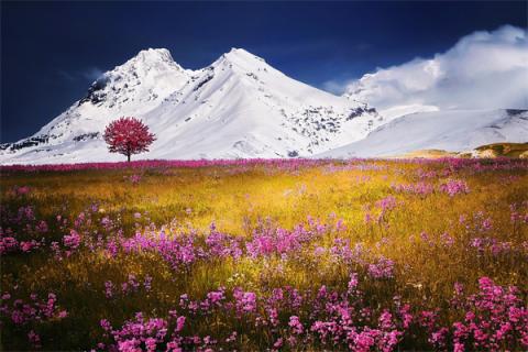 梦到山顶有雪什么预兆