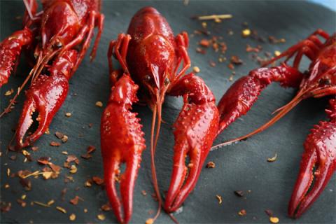 梦到了龙虾夹手预兆了什么吗