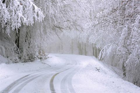 梦到冬天下雪意味什么