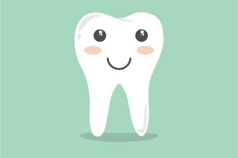 梦到左下边牙掉了一小半是好的征兆吗