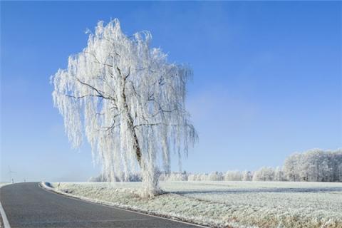 梦到了冰雪世界有什么含义