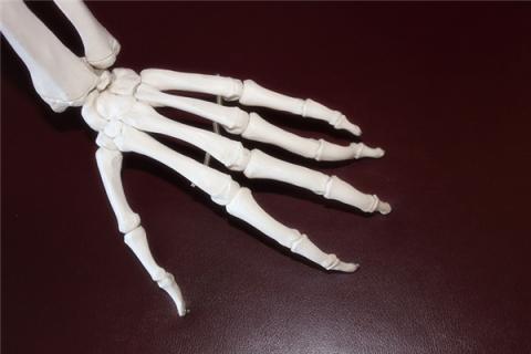 梦见吃死人骨头怎么说
