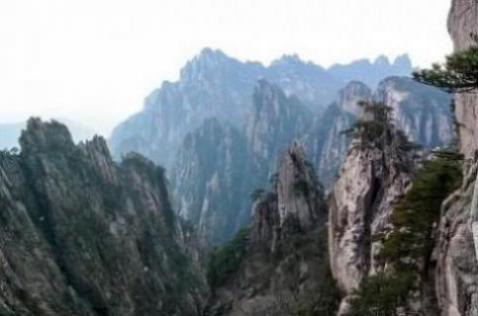 梦见自己丢包是什么意思